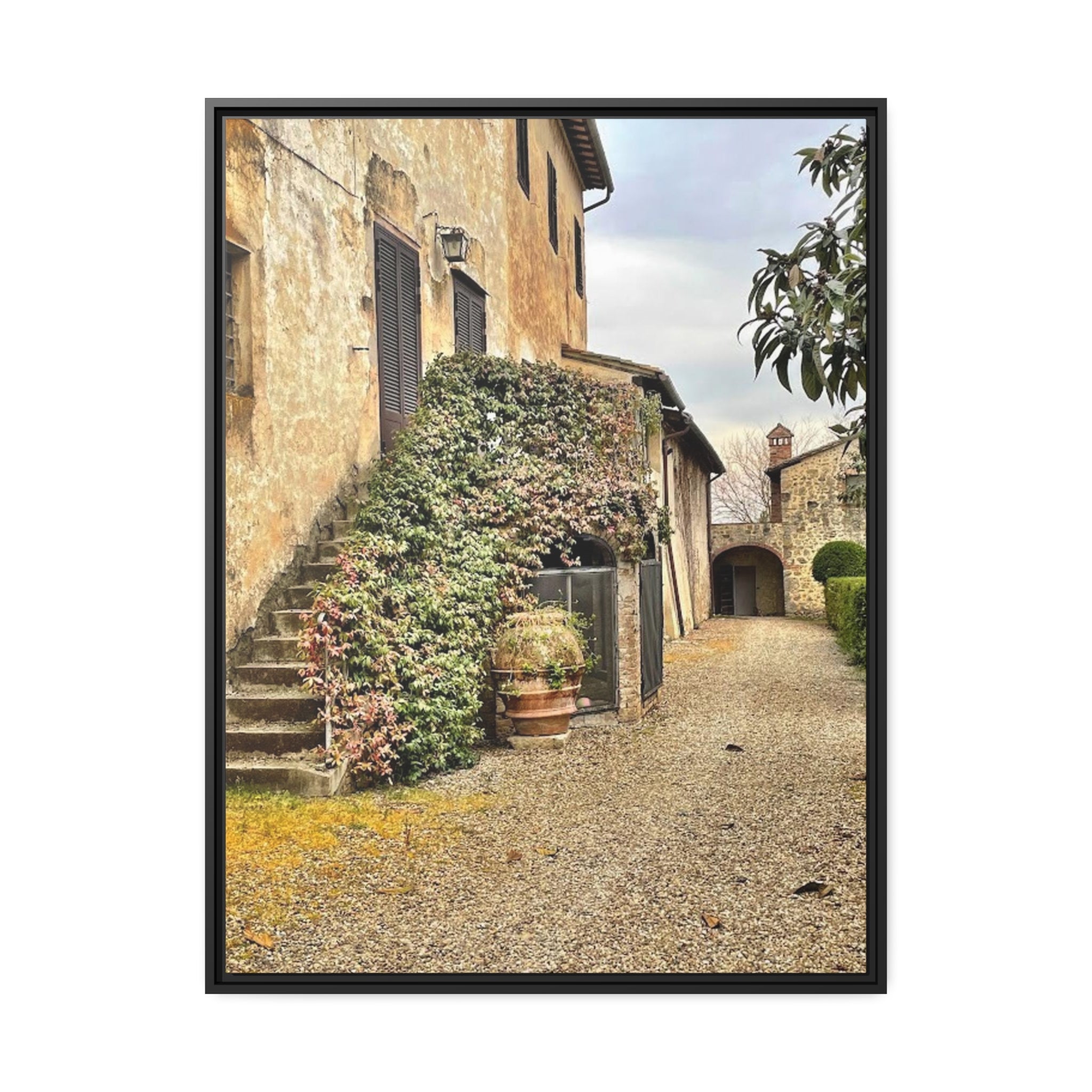 Tuscan Vineyard, Italy Matte Canvas, Black Frame