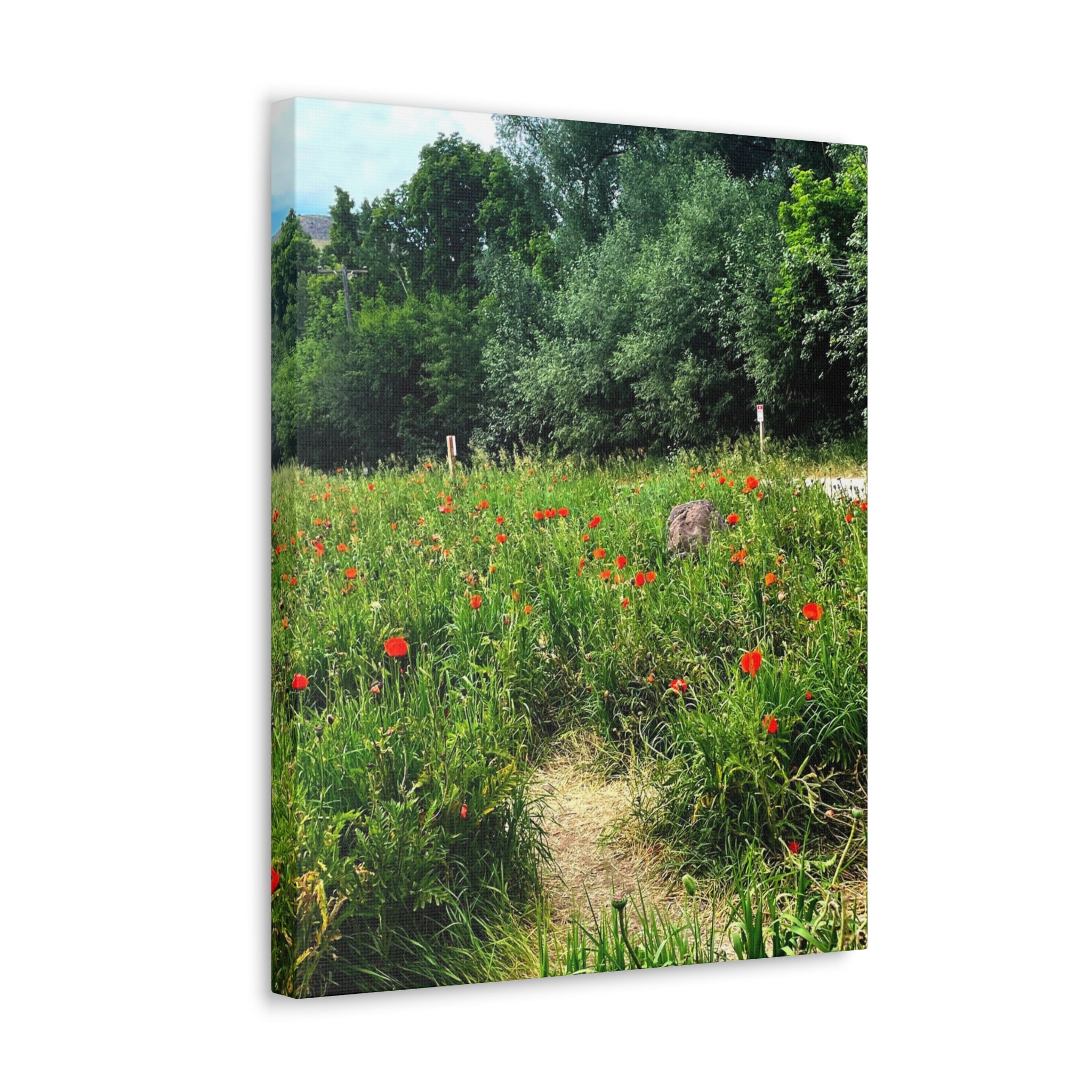 Utah Mountain Countryside Canvas Wrap