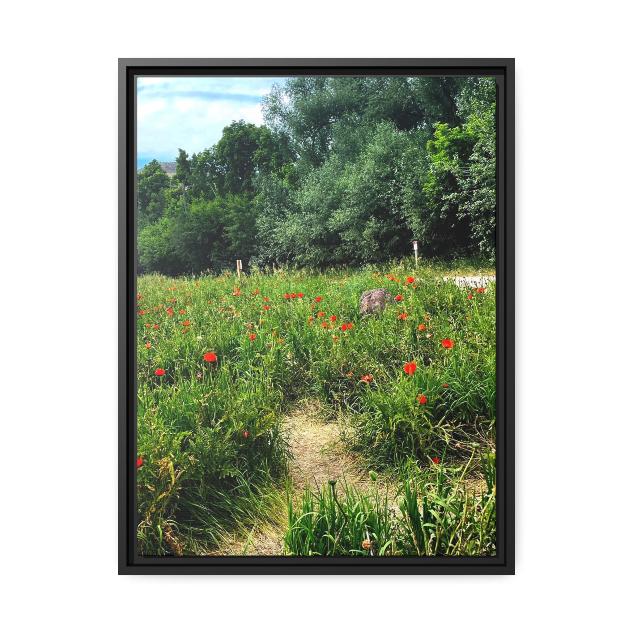 Poppy fields of Utah Matte Canvas, Black Frame
