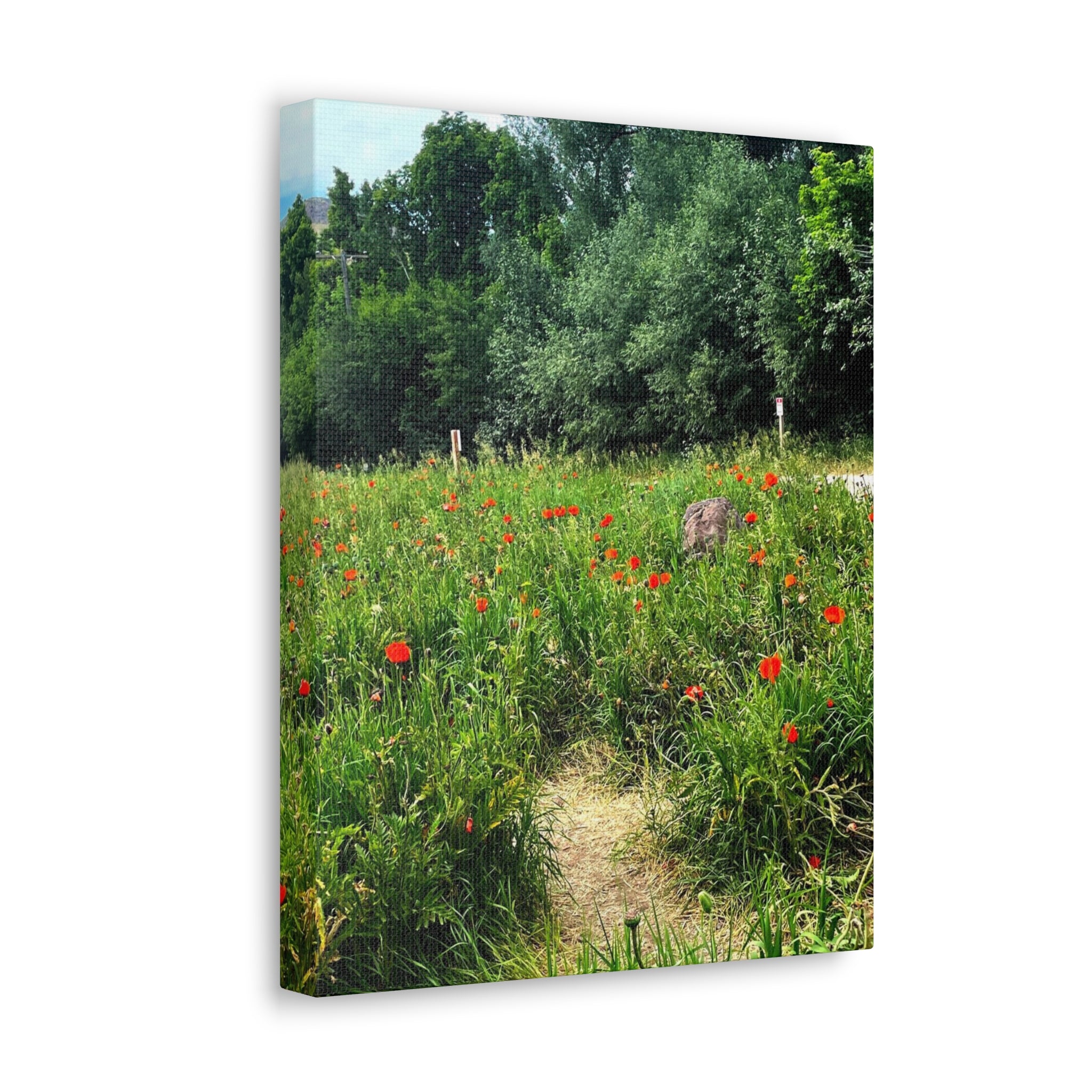 Utah Mountain Countryside Canvas Wrap