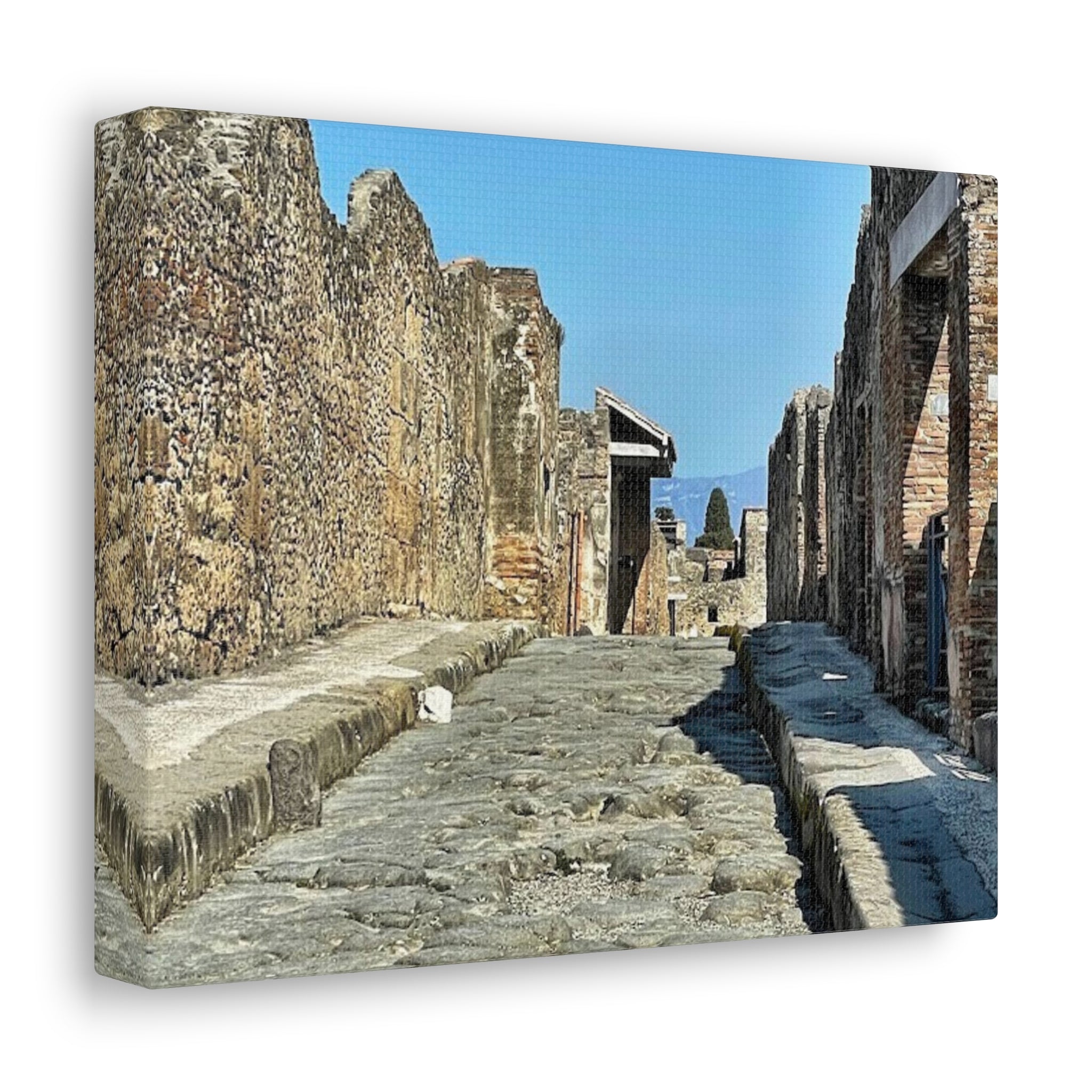 Pompeii Italy Canvas Wrap