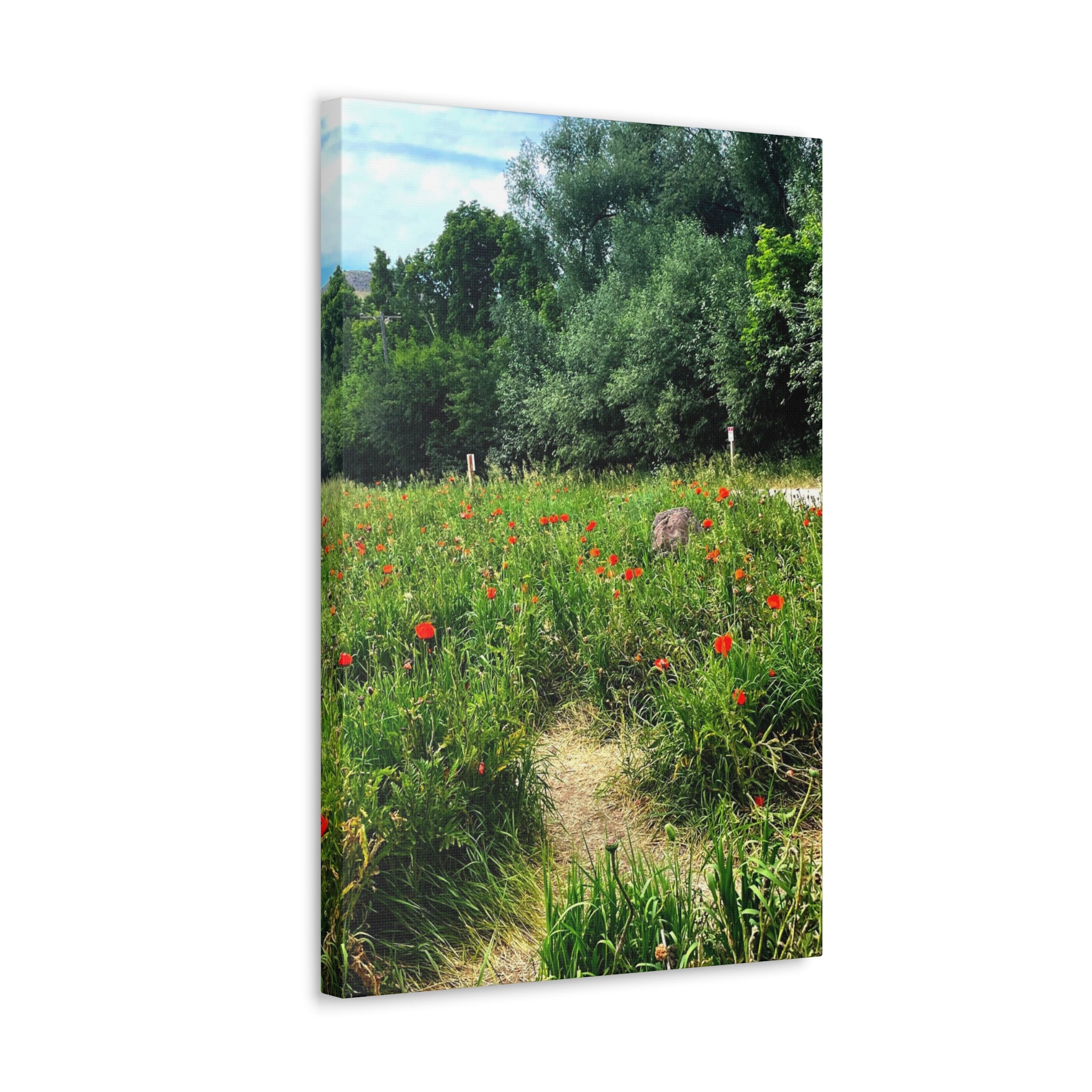 Utah Mountain Countryside Canvas Wrap