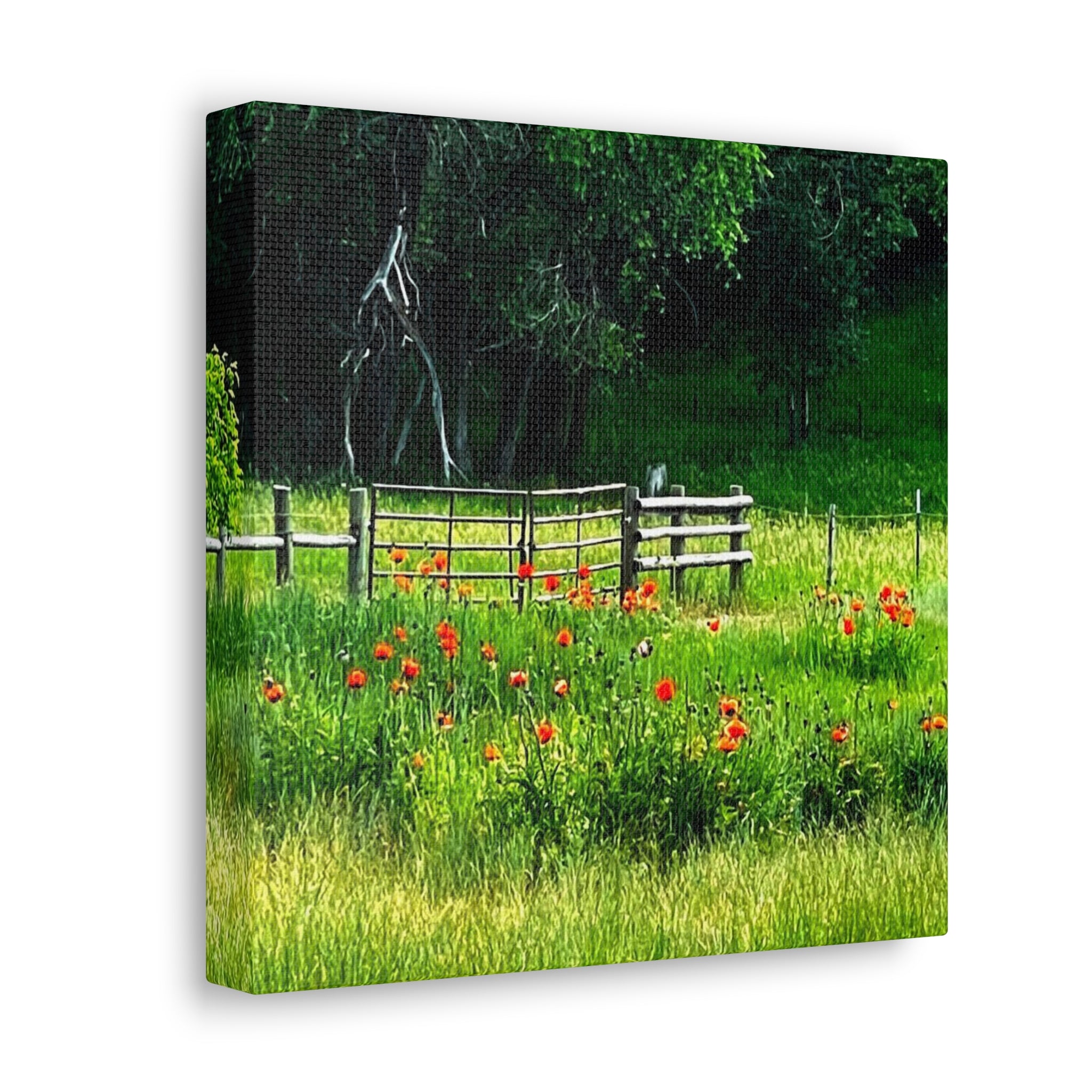 Utah Poppy Field Canvas Wrap