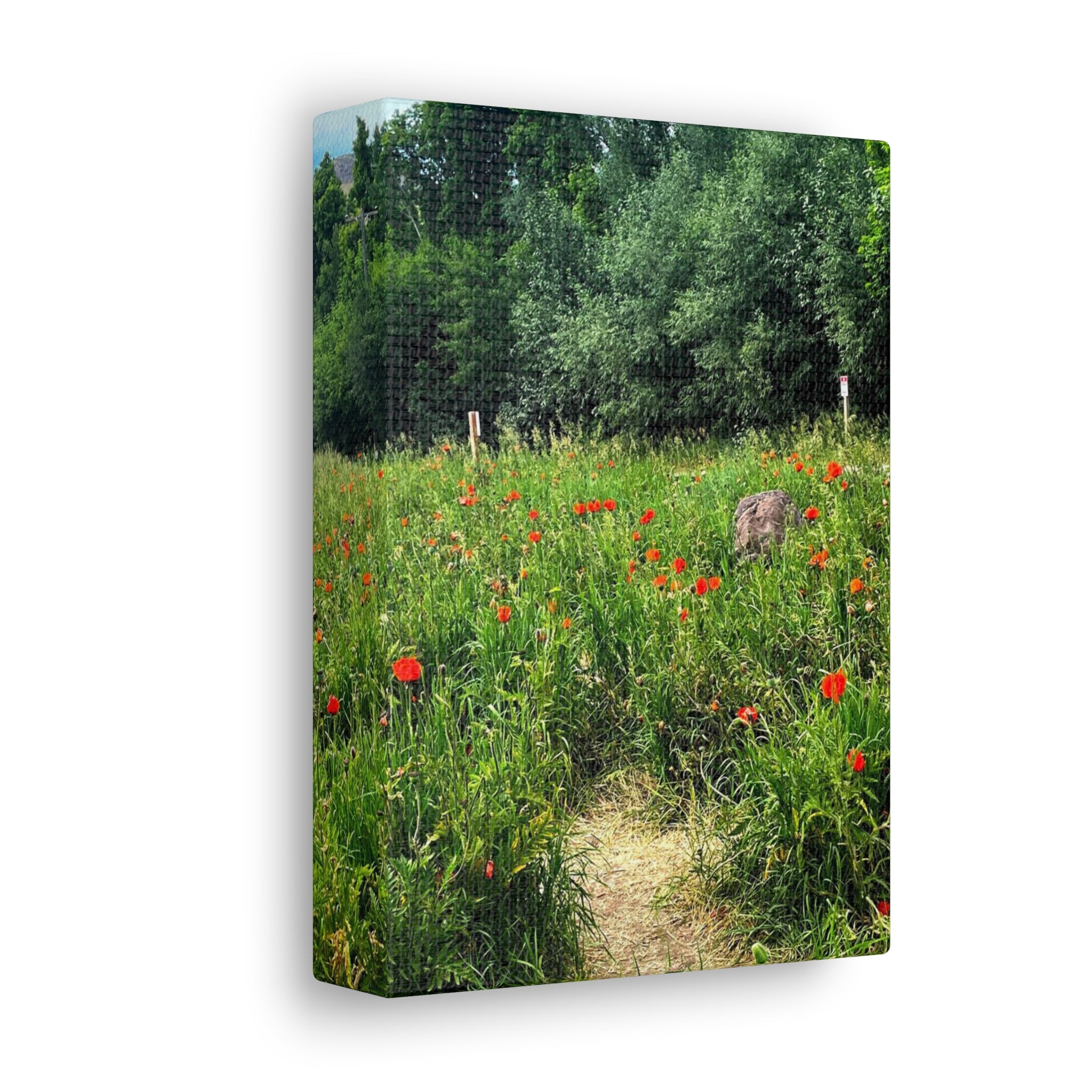 Utah Mountain Countryside Canvas Wrap