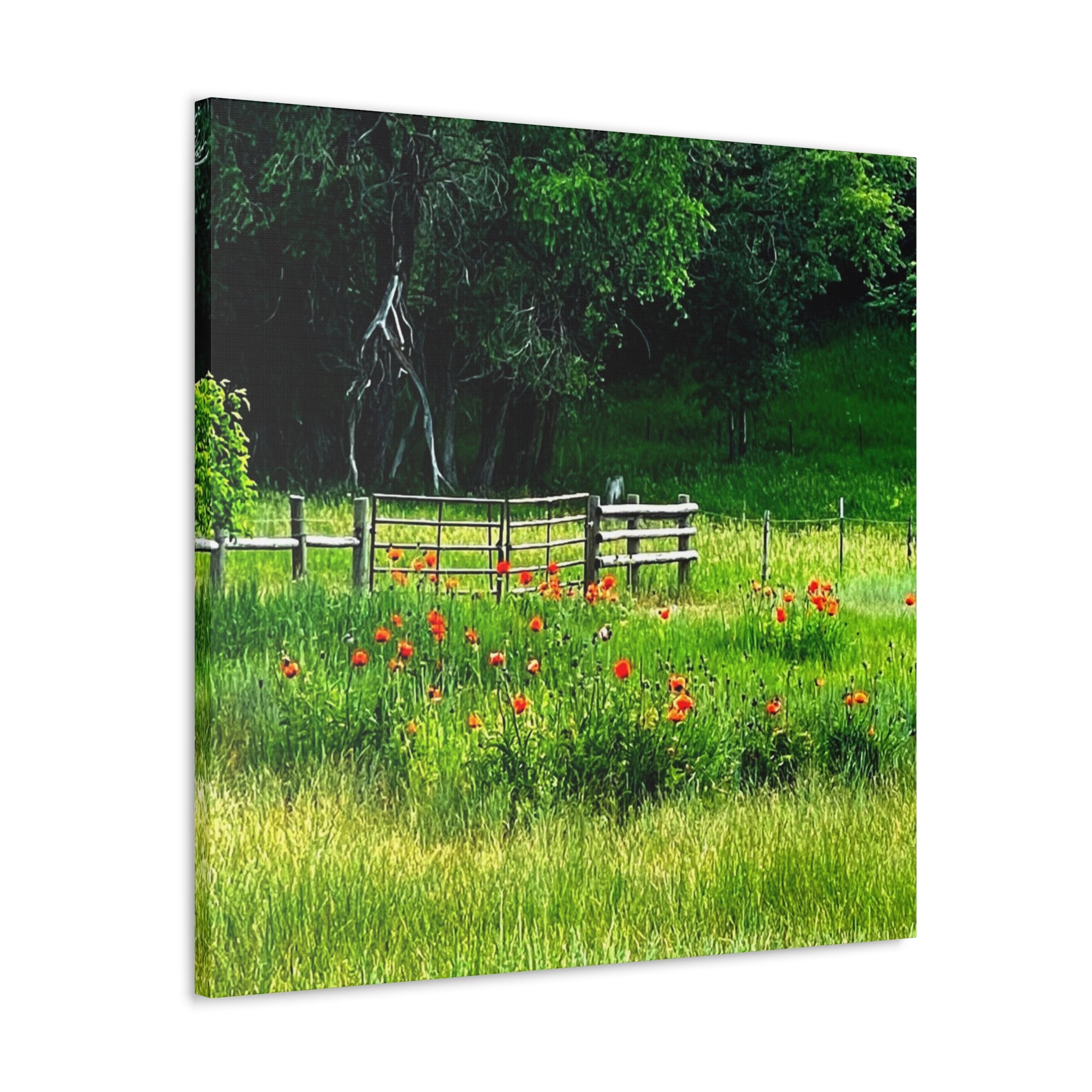 Utah Poppy Field Canvas Wrap