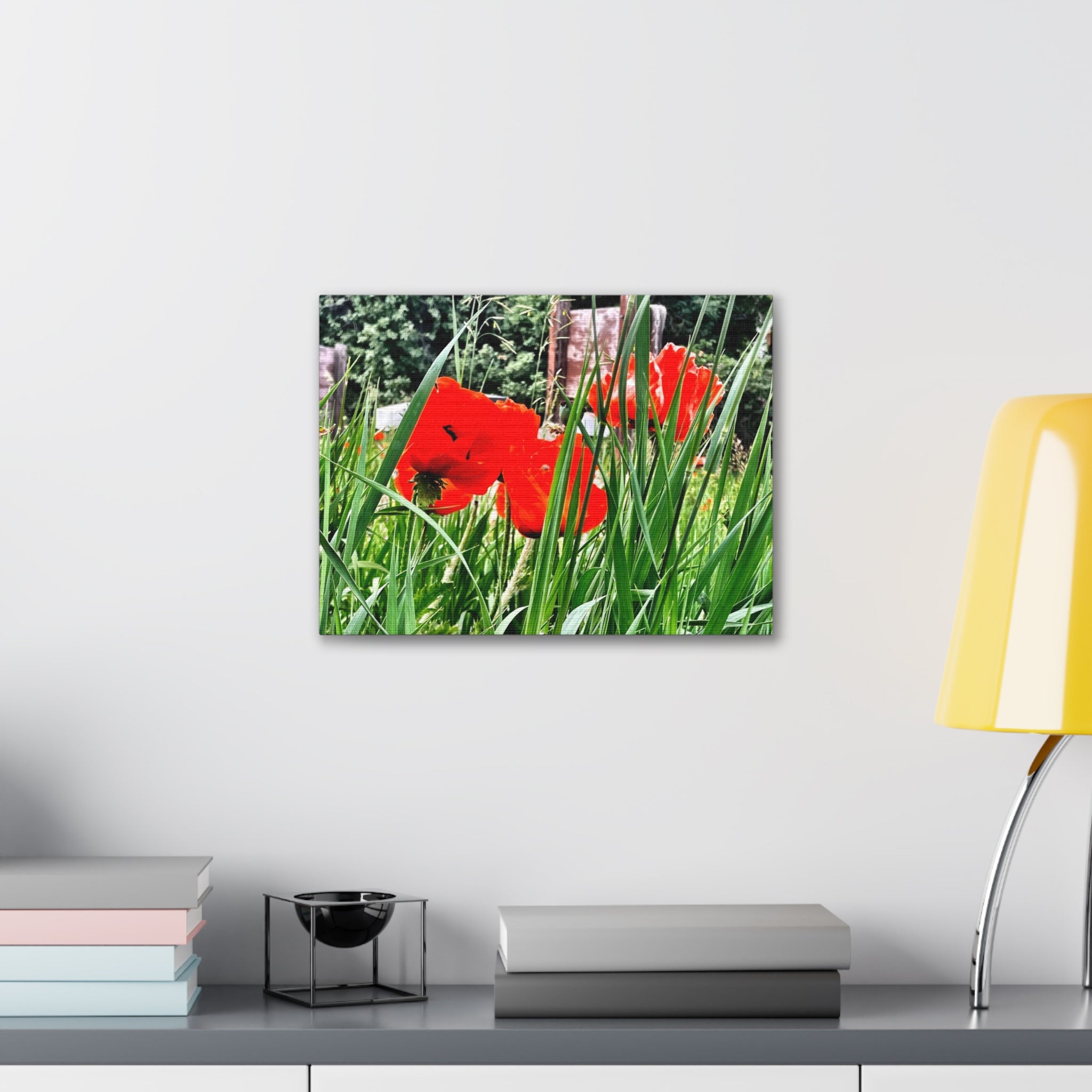 Utah Poppies Canvas Wrap