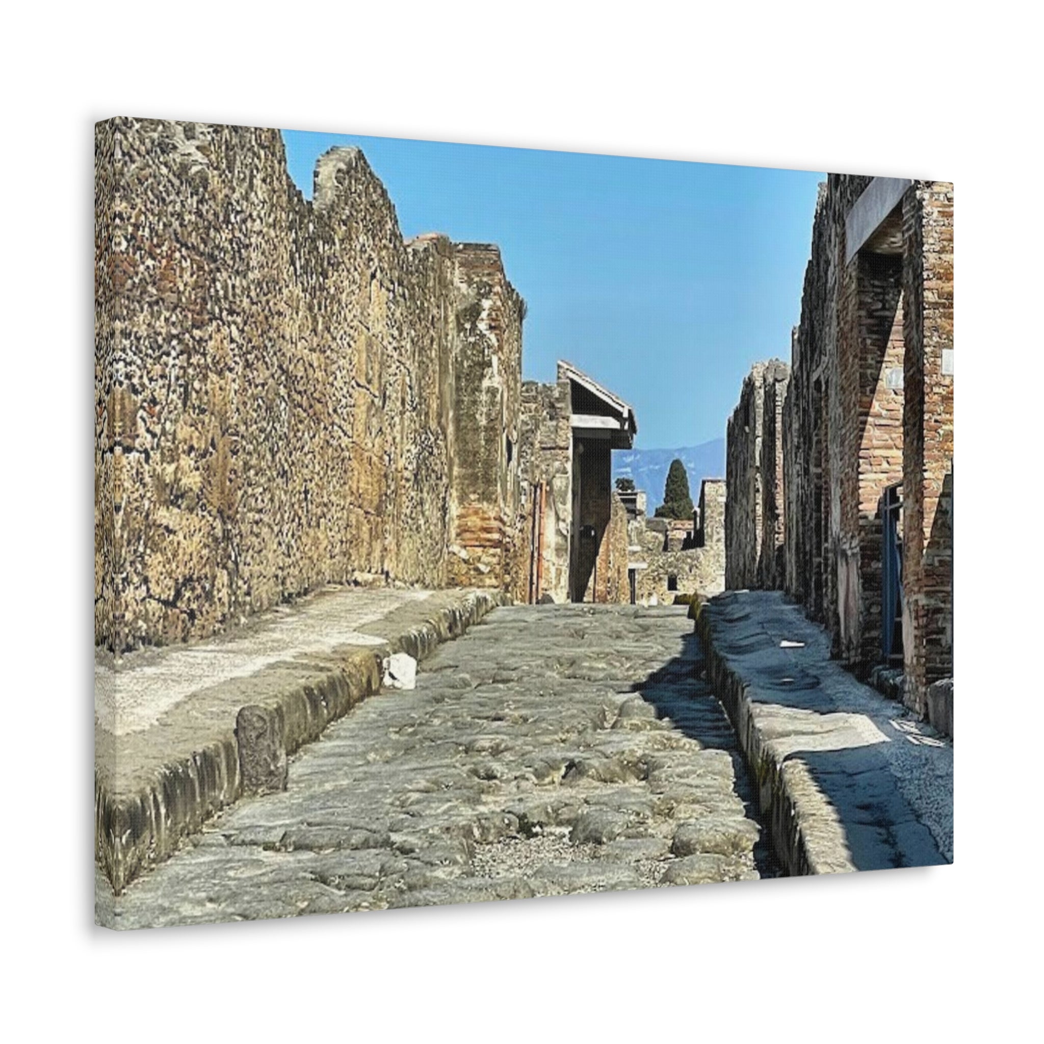 Pompeii Italy Canvas Wrap