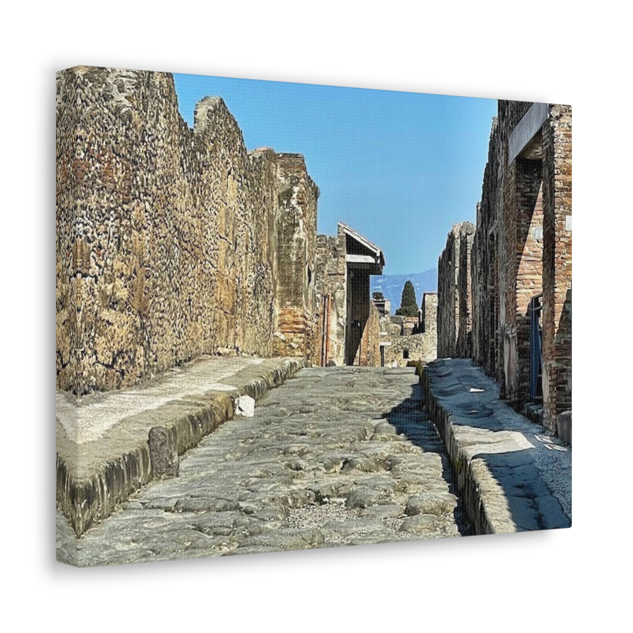 Pompeii Italy Canvas Wrap