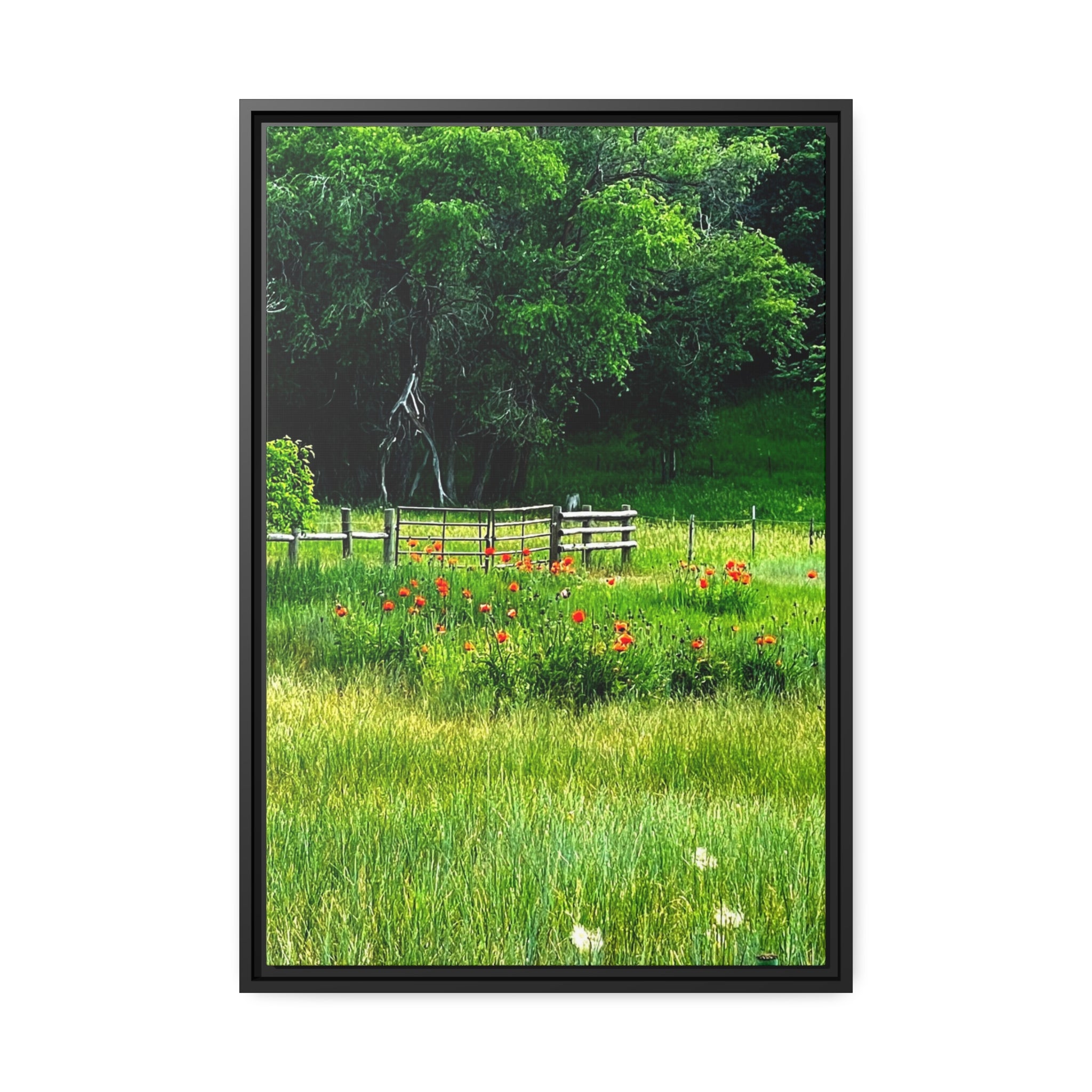 Poppy field of Utah, Matte Canvas, Black Frame