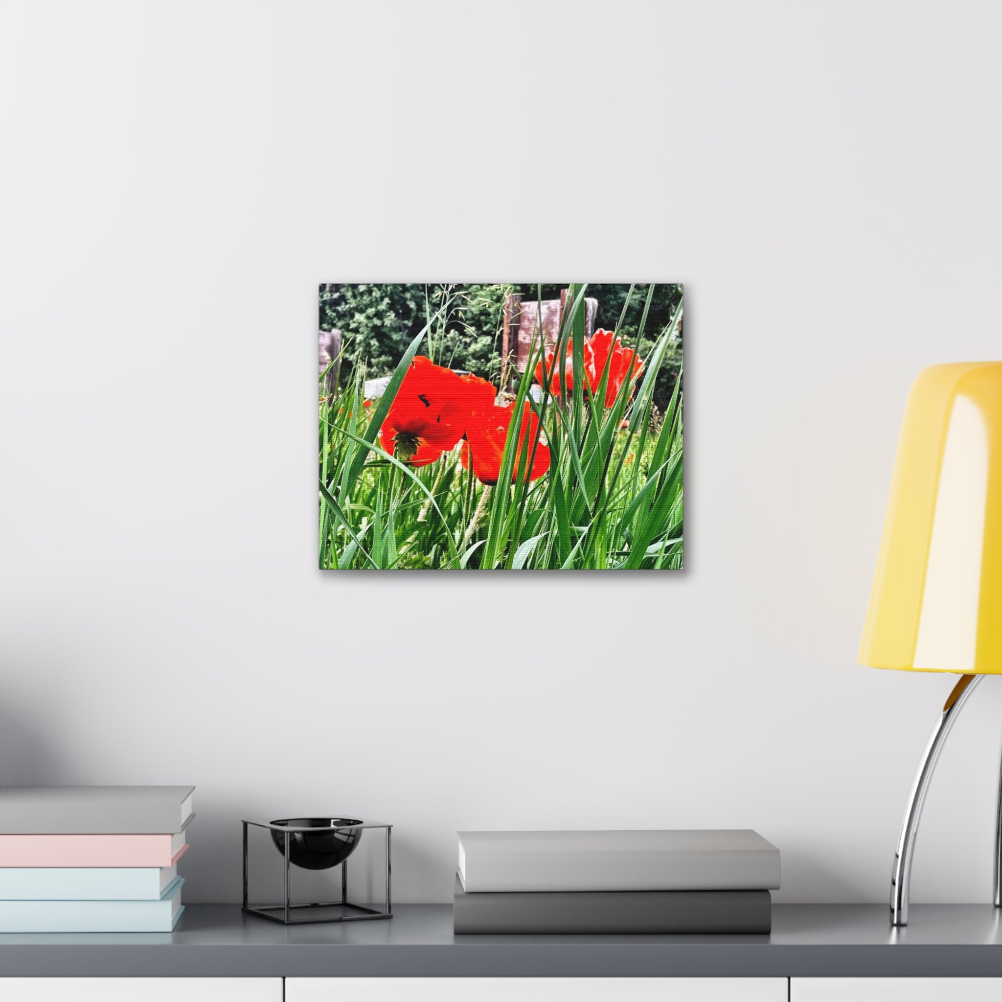 Utah Poppies Canvas Wrap