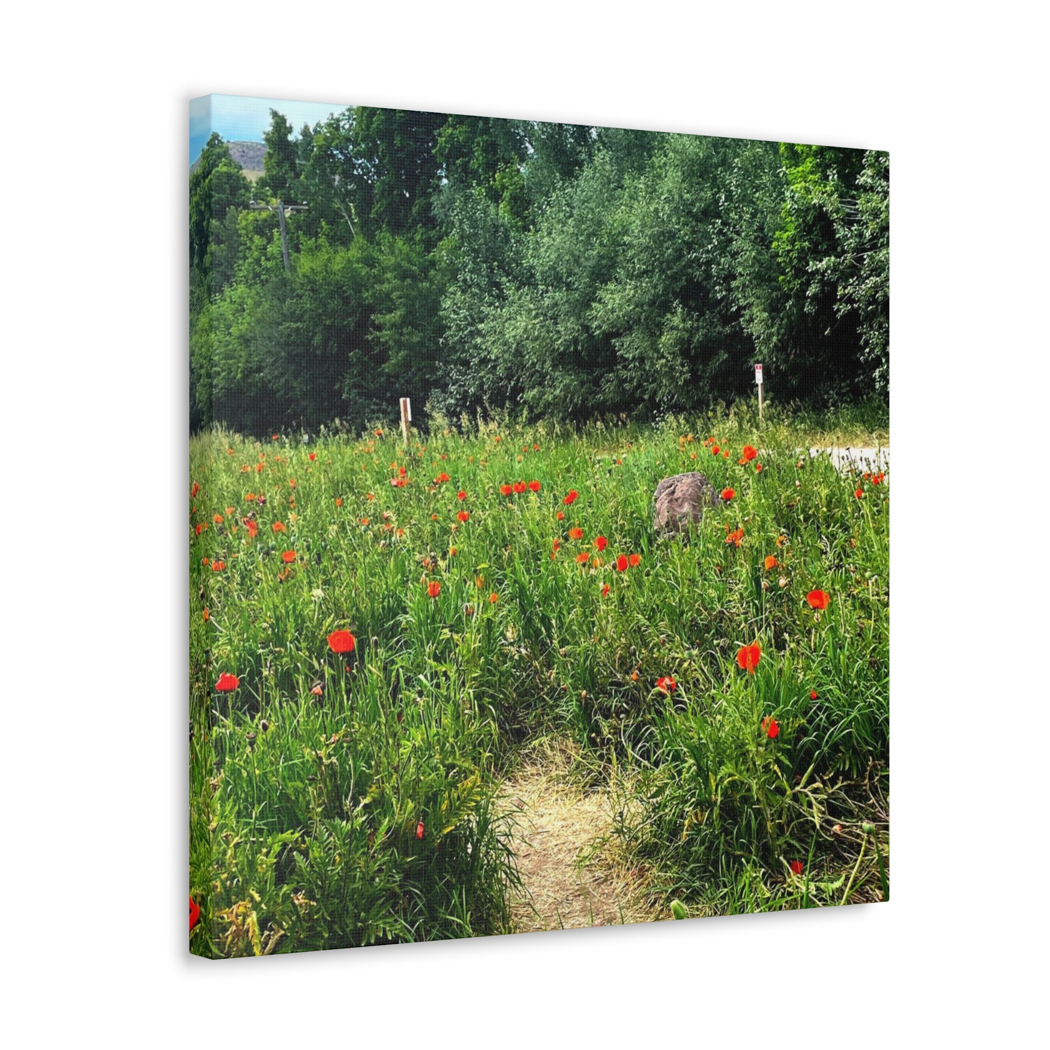 Utah Mountain Countryside Canvas Wrap