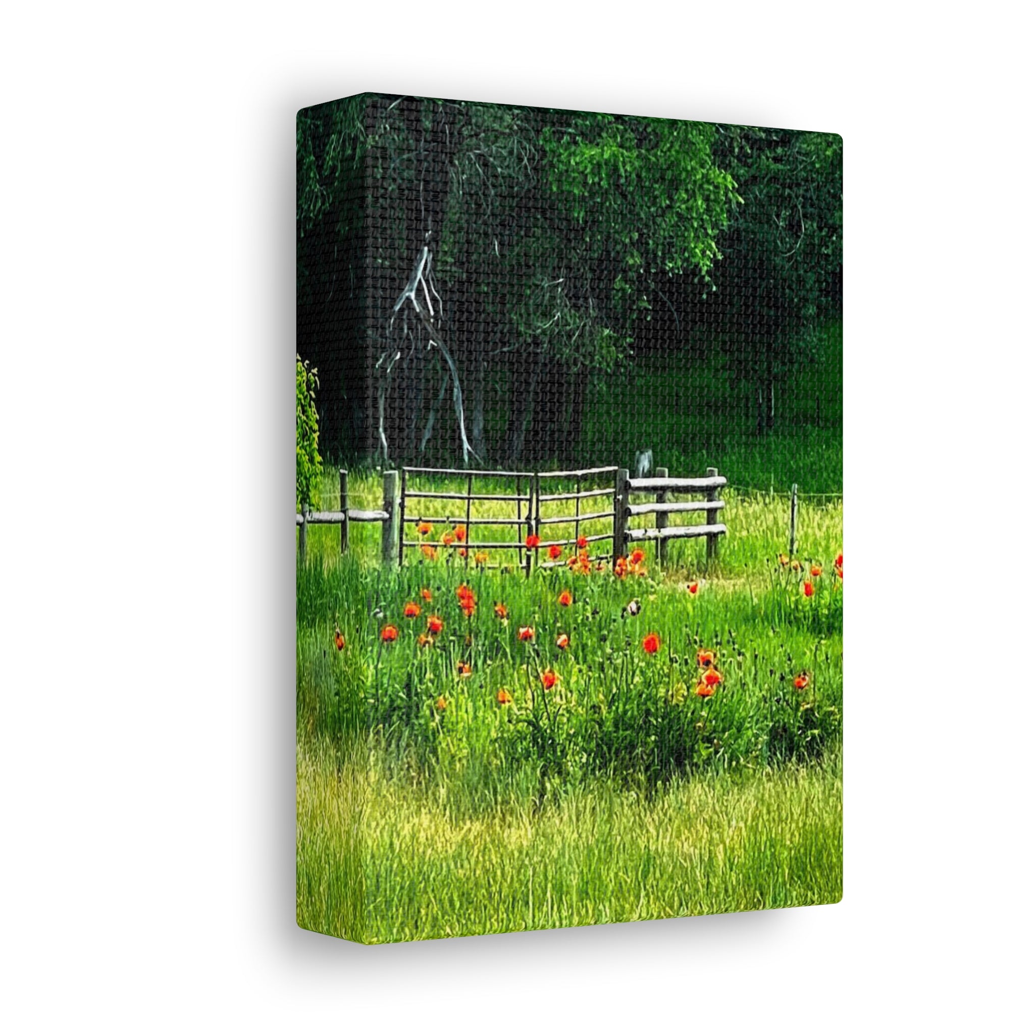 Utah Poppy Field Canvas Wrap