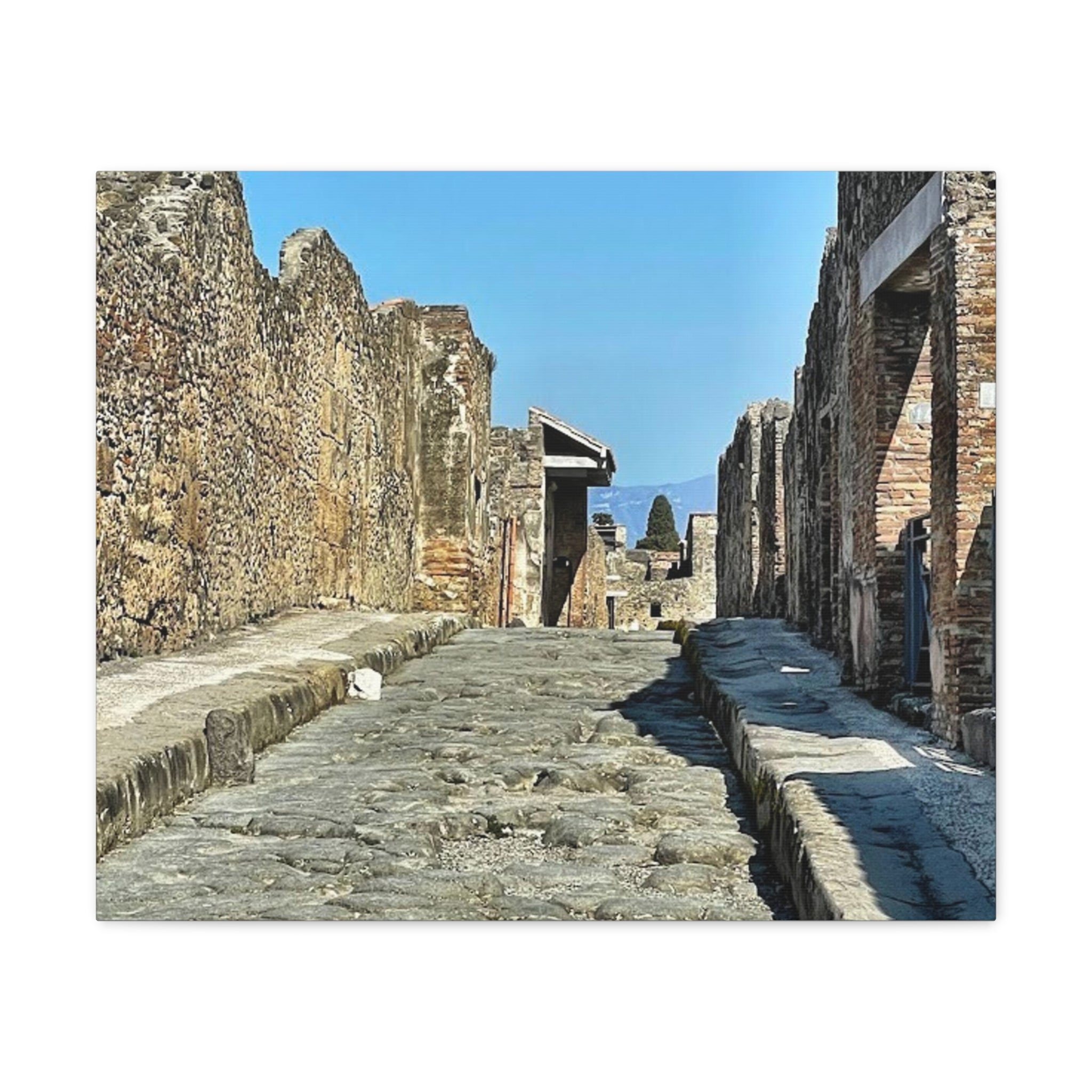 Pompeii Italy Canvas Wrap