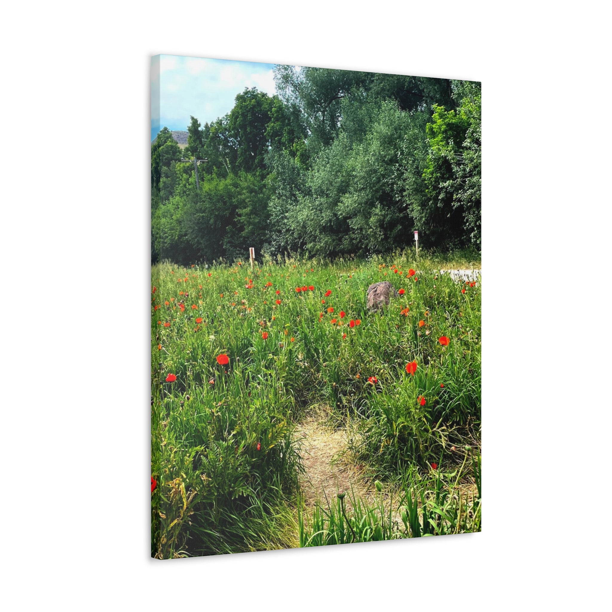 Utah Mountain Countryside Canvas Wrap