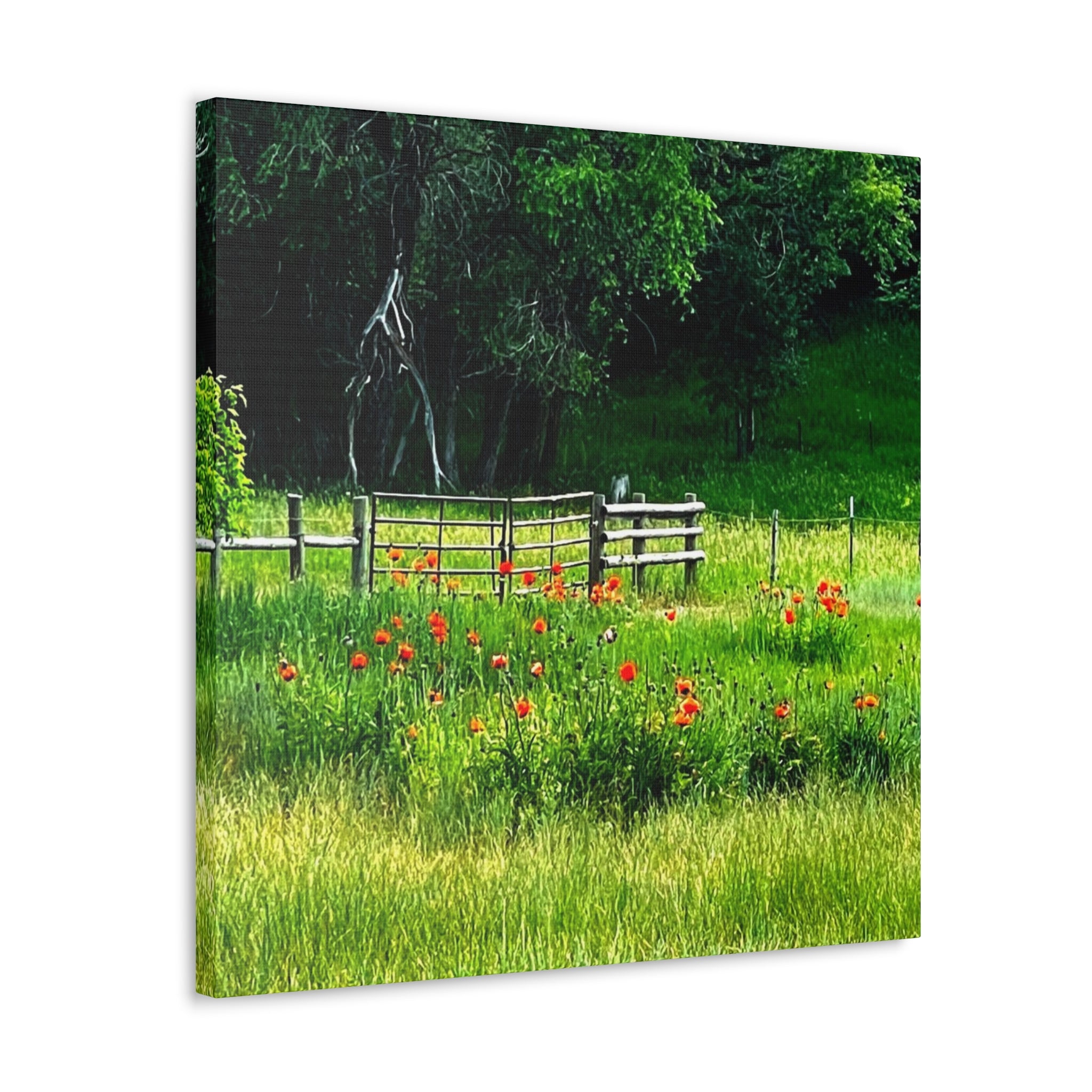 Utah Poppy Field Canvas Wrap